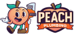 Peach Plumbing Home Page Picture